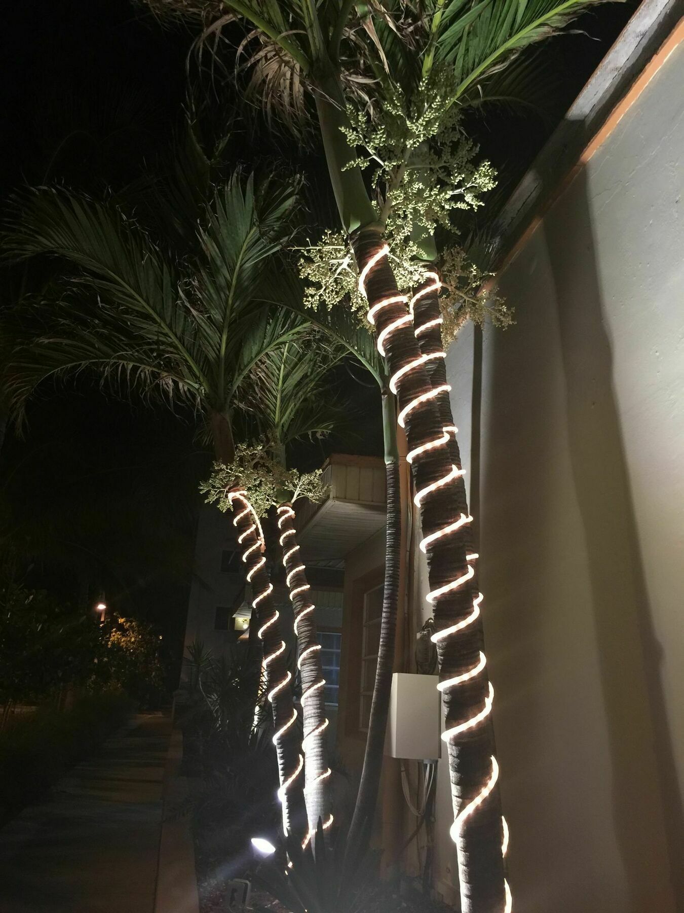 Inn St Maurice 3*